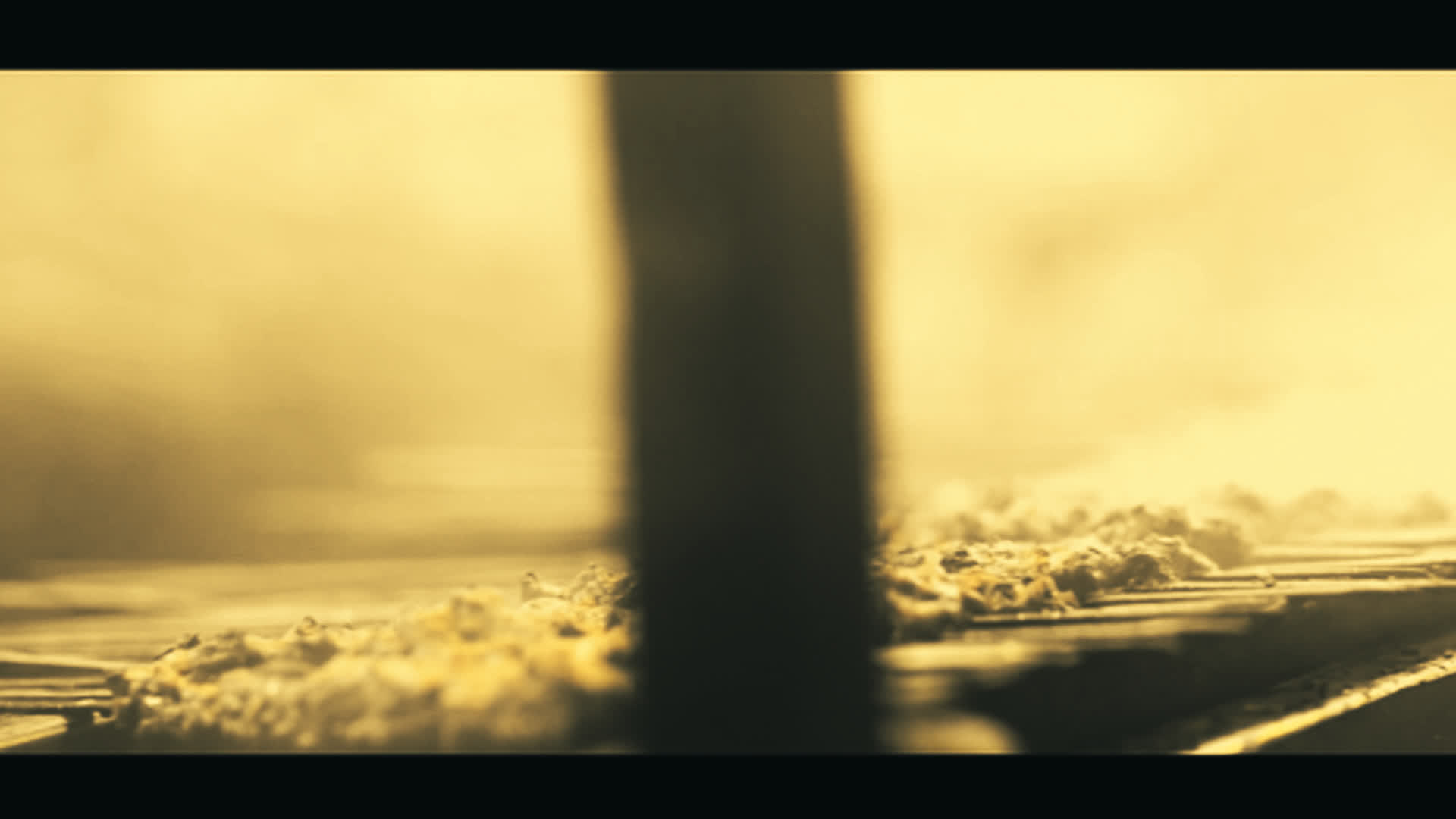 应用 LUT 后预览