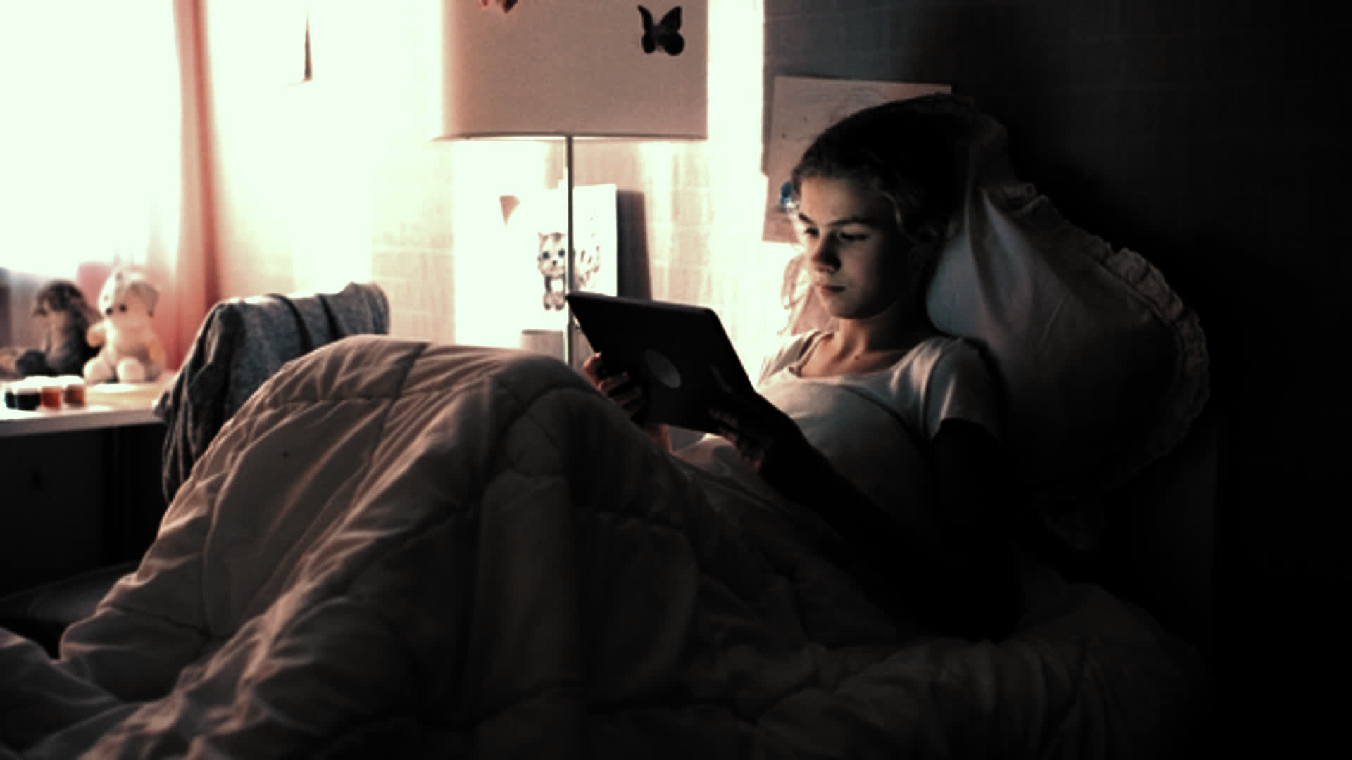 应用 LUT 后预览