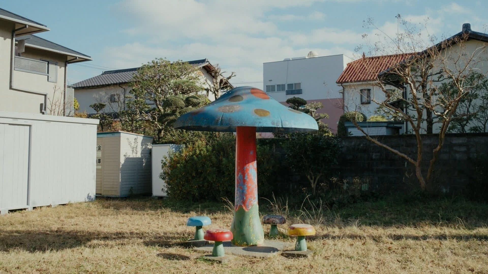 应用 LUT 后预览