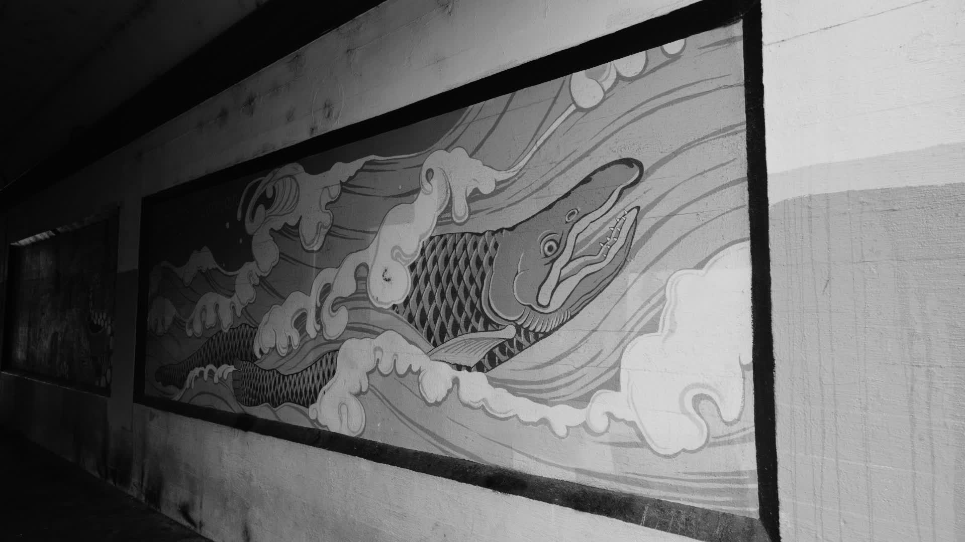 应用 LUT 后预览