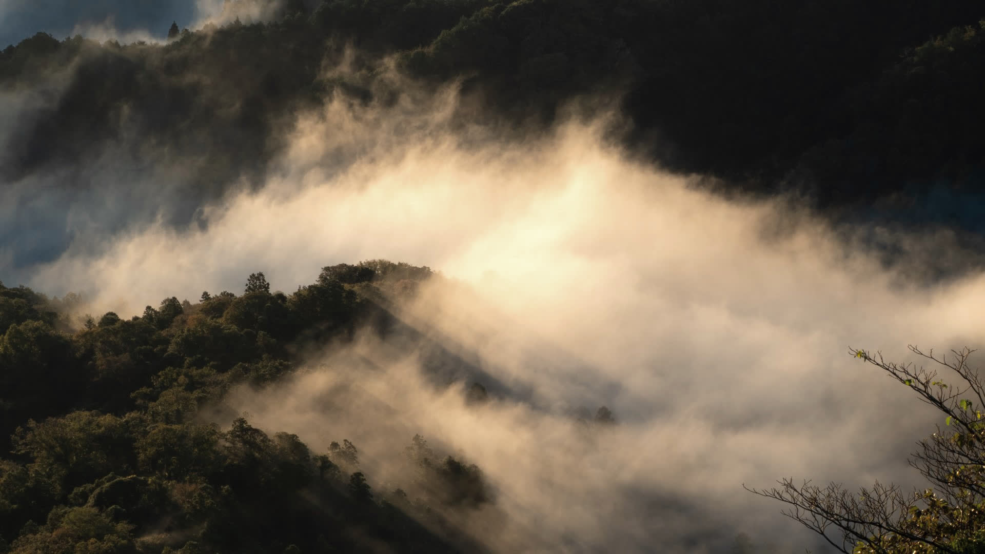 应用 LUT 后预览
