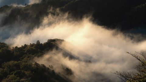 企业大片通透蓝气场
