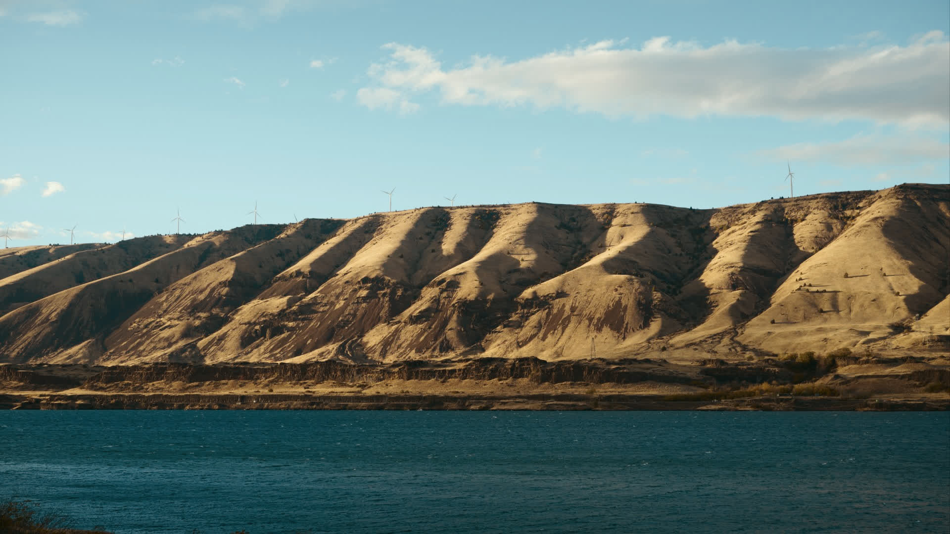 应用 LUT 后预览