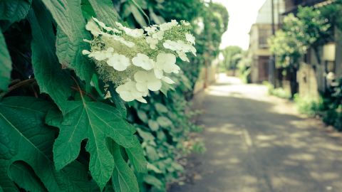 宝丽来Polaroid PX-680Cold1