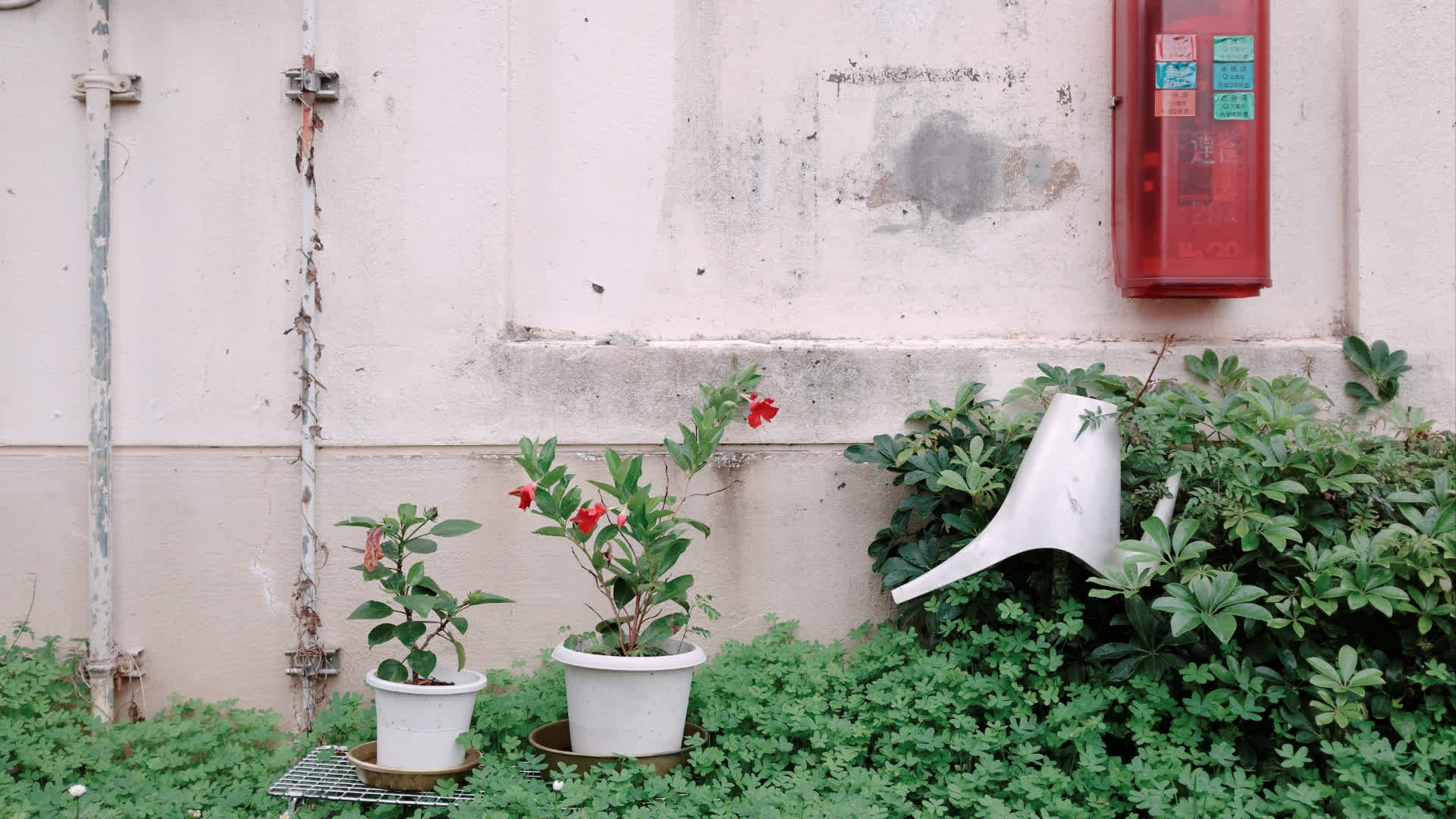 应用 LUT 后预览