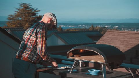 疯狂的攻击性和美丽的青橙色外观