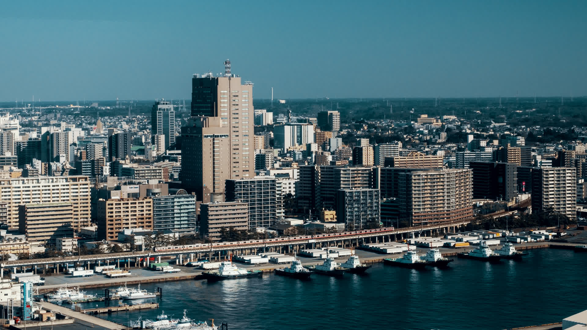 应用 LUT 后预览