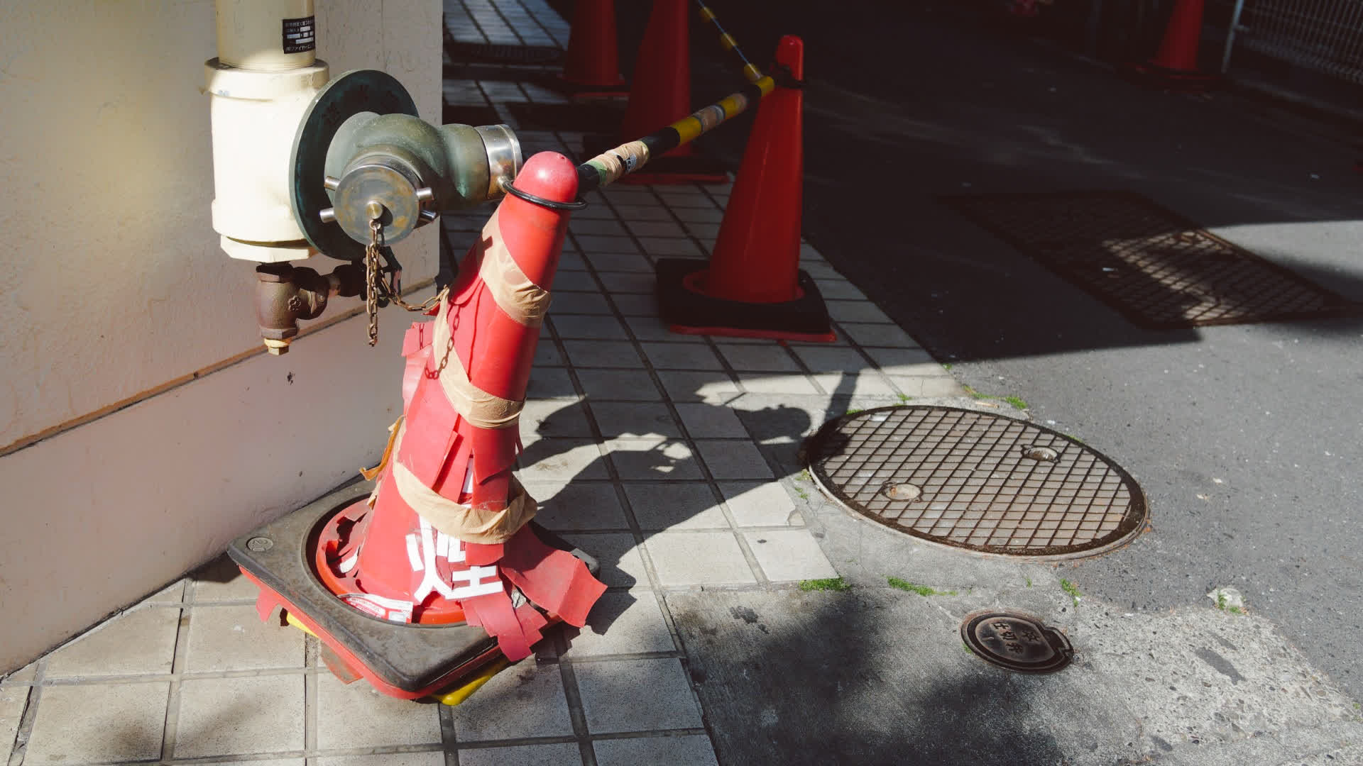 应用 LUT 后预览