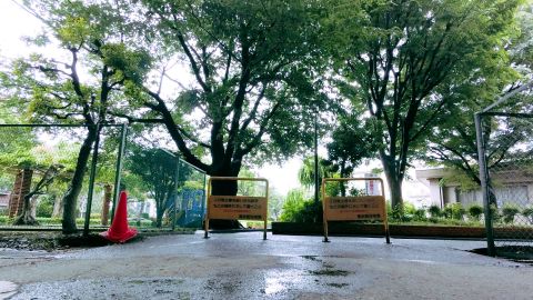 宝丽来Polaroid 690Cold1--15