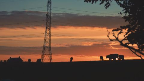 巷口街拍冷青雾