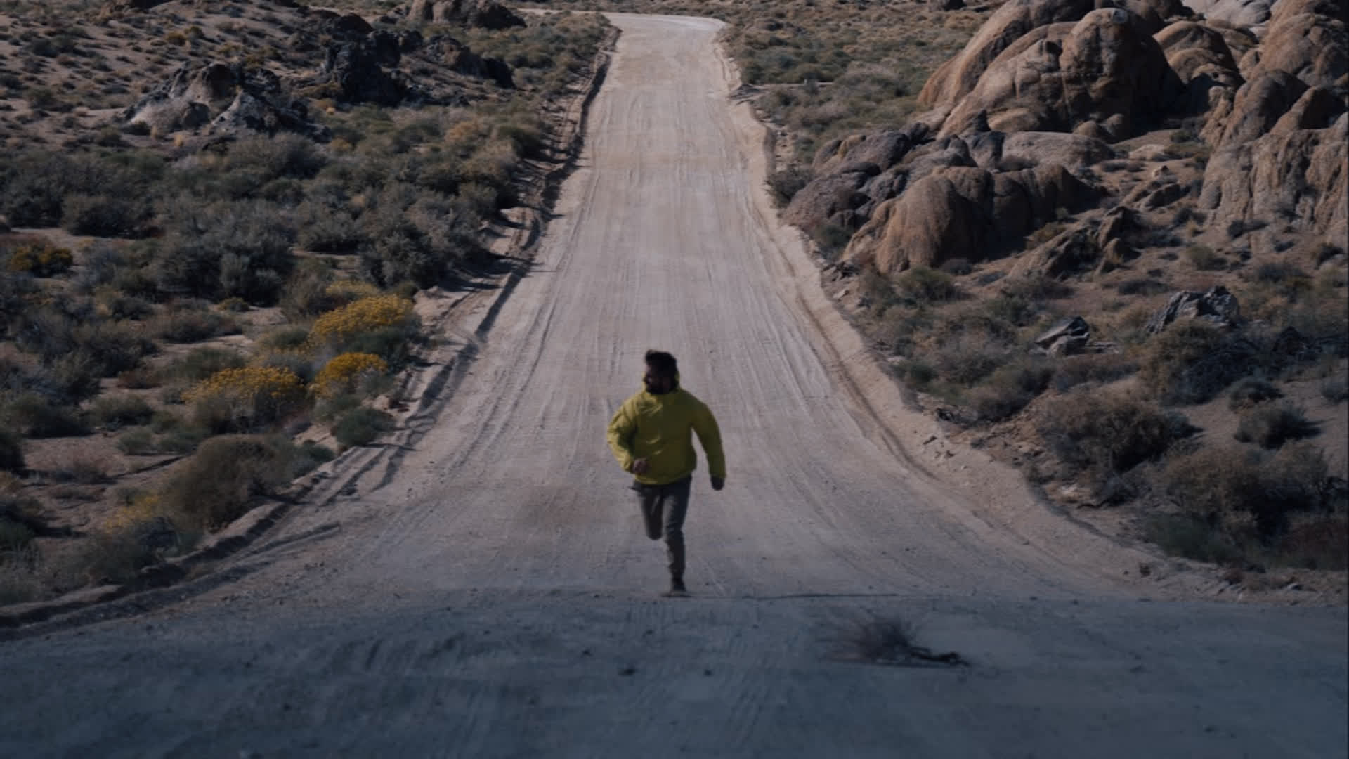 应用 LUT 后预览