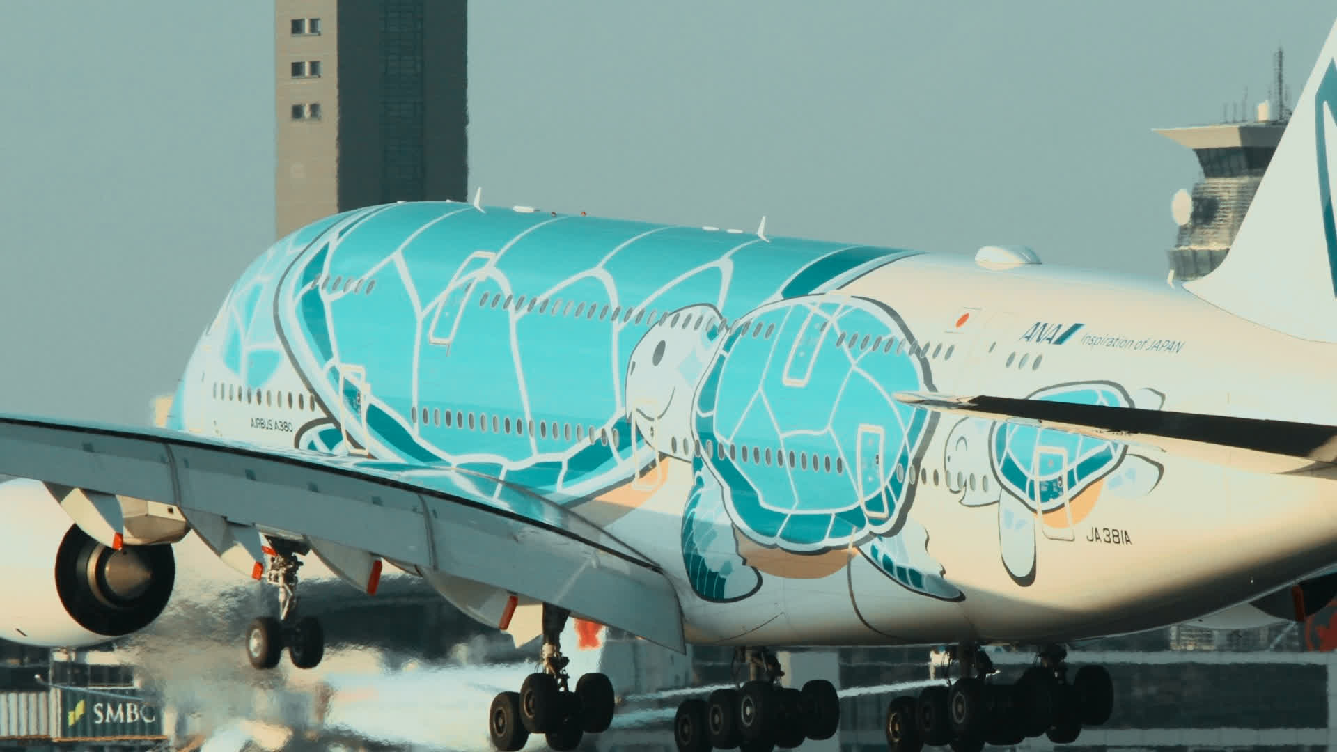 应用 LUT 后预览