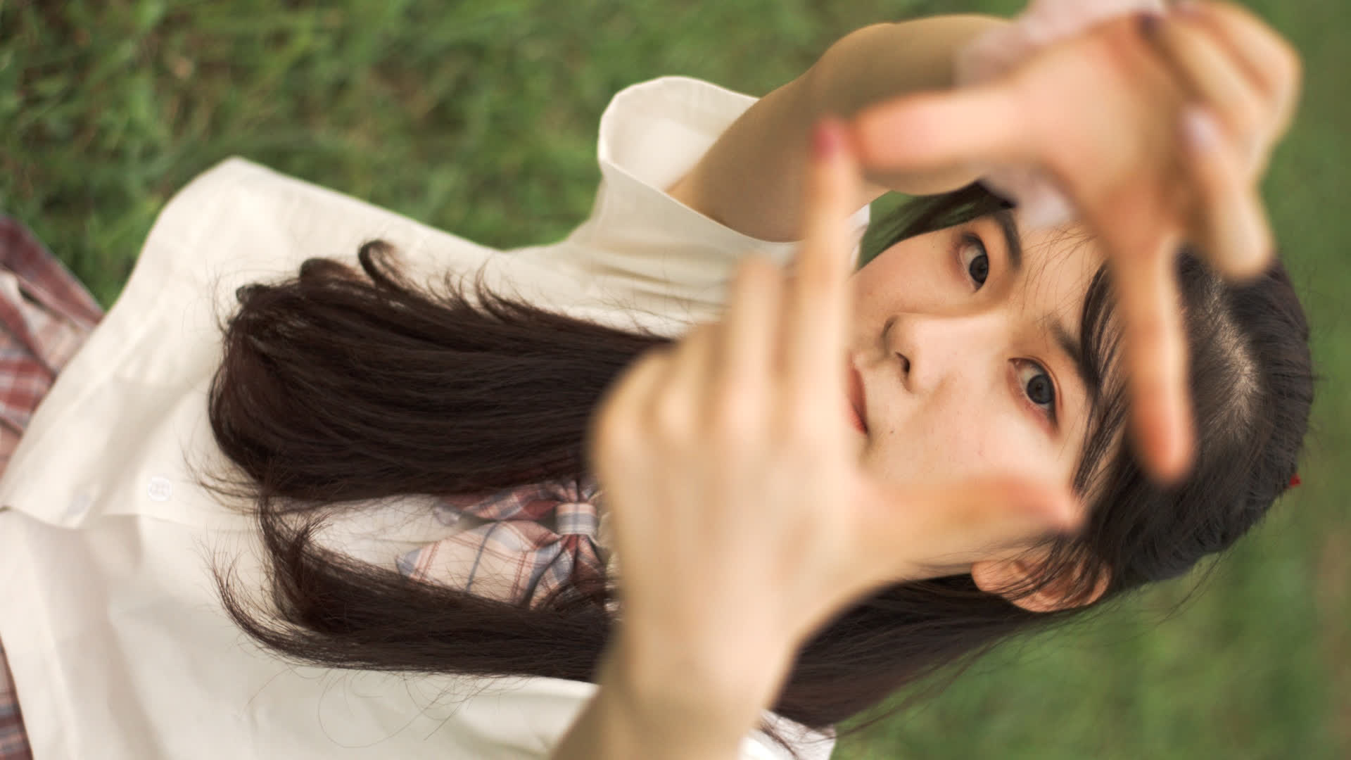 应用 LUT 后预览