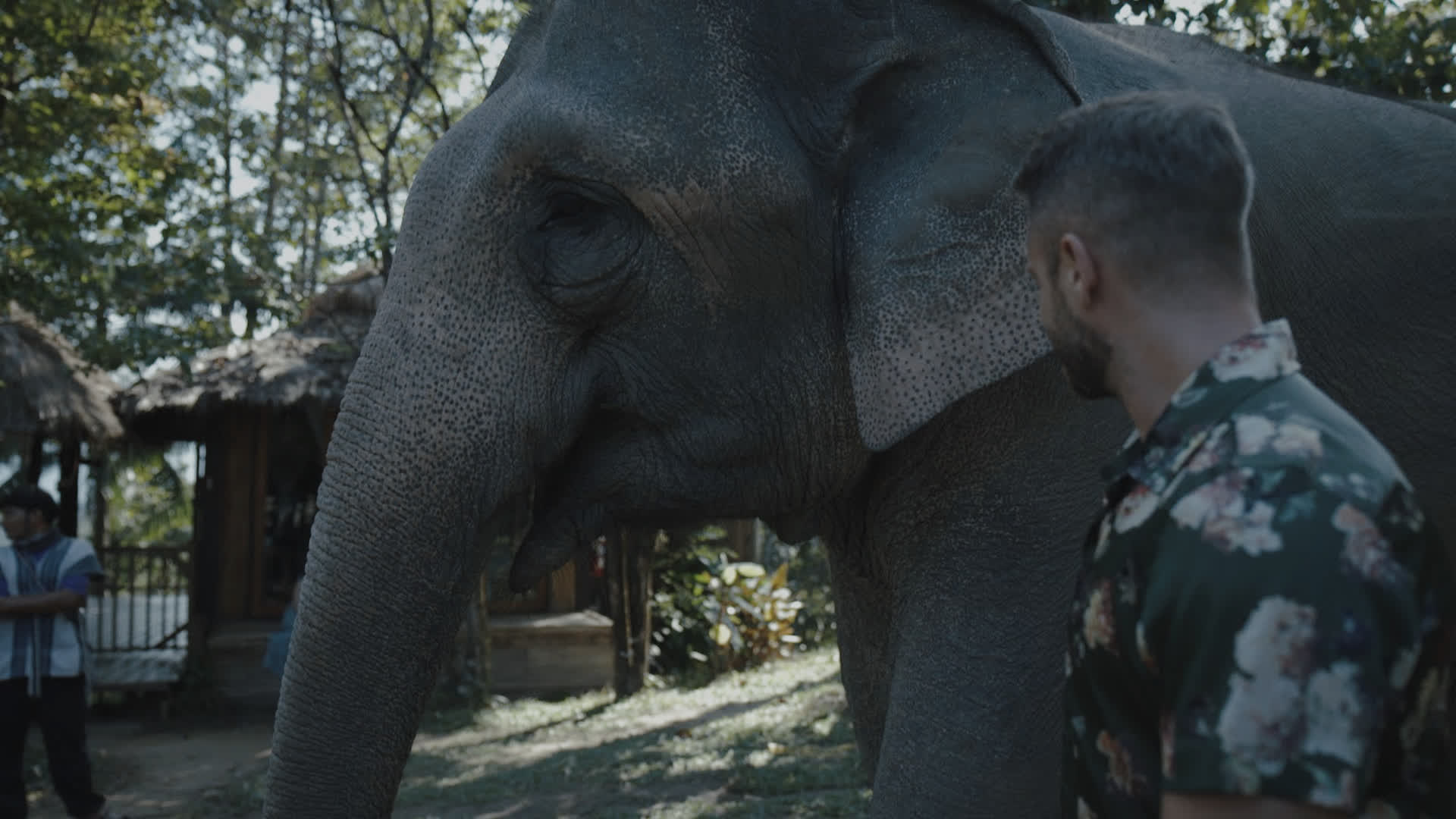 应用 LUT 后预览