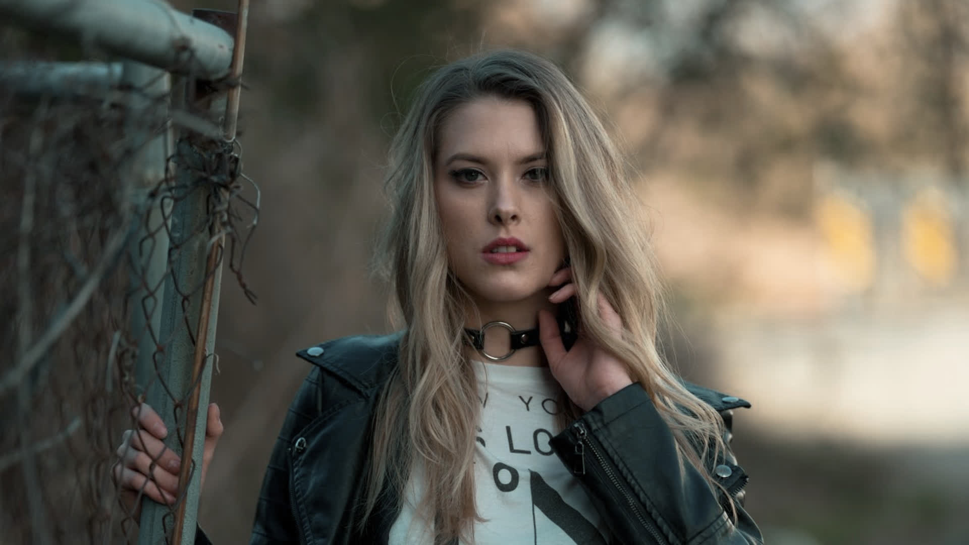 应用 LUT 后预览