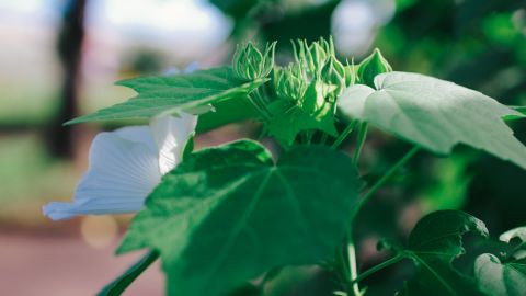 柯达 Portra 400 UC 2