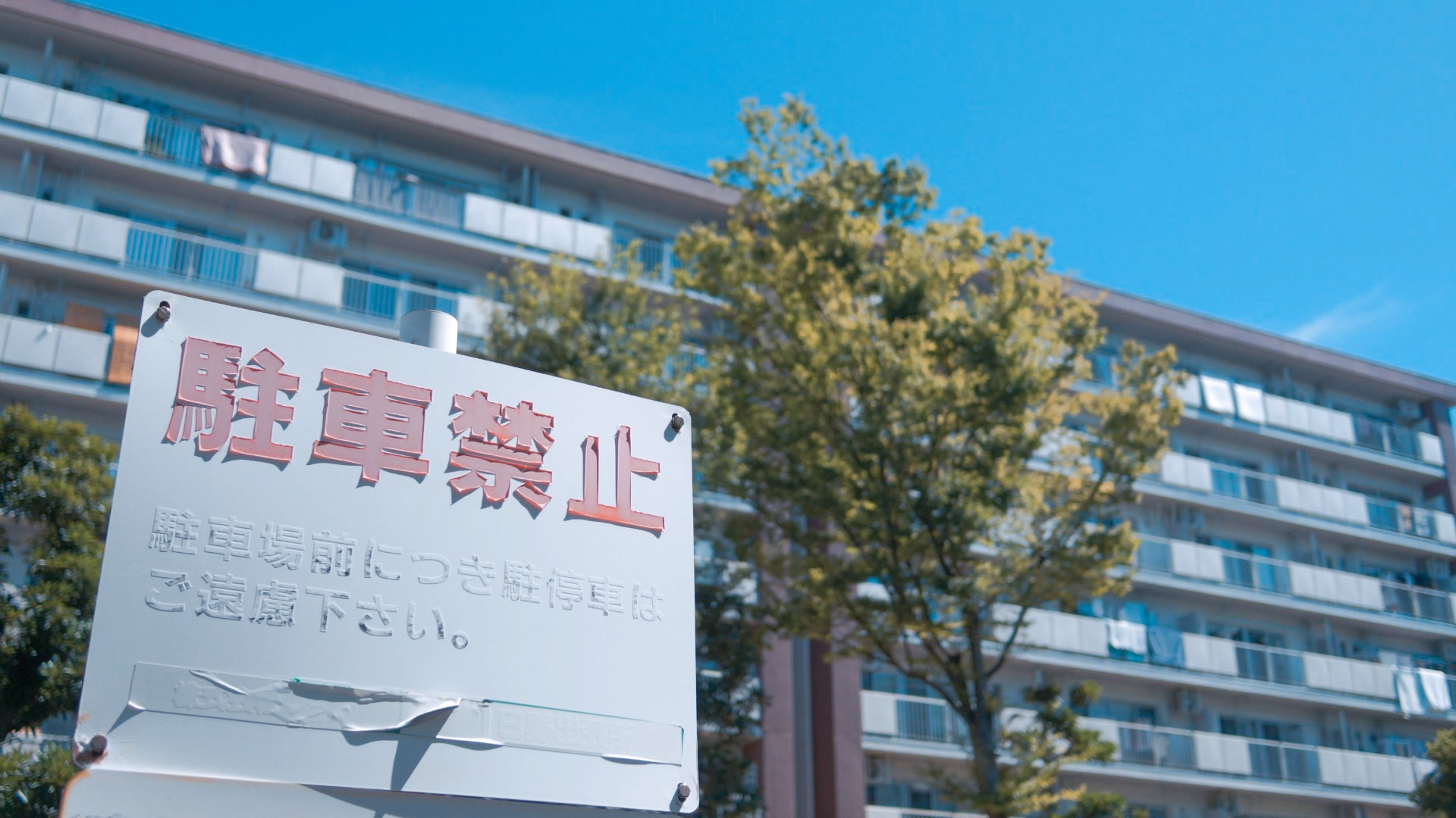 应用 LUT 后预览