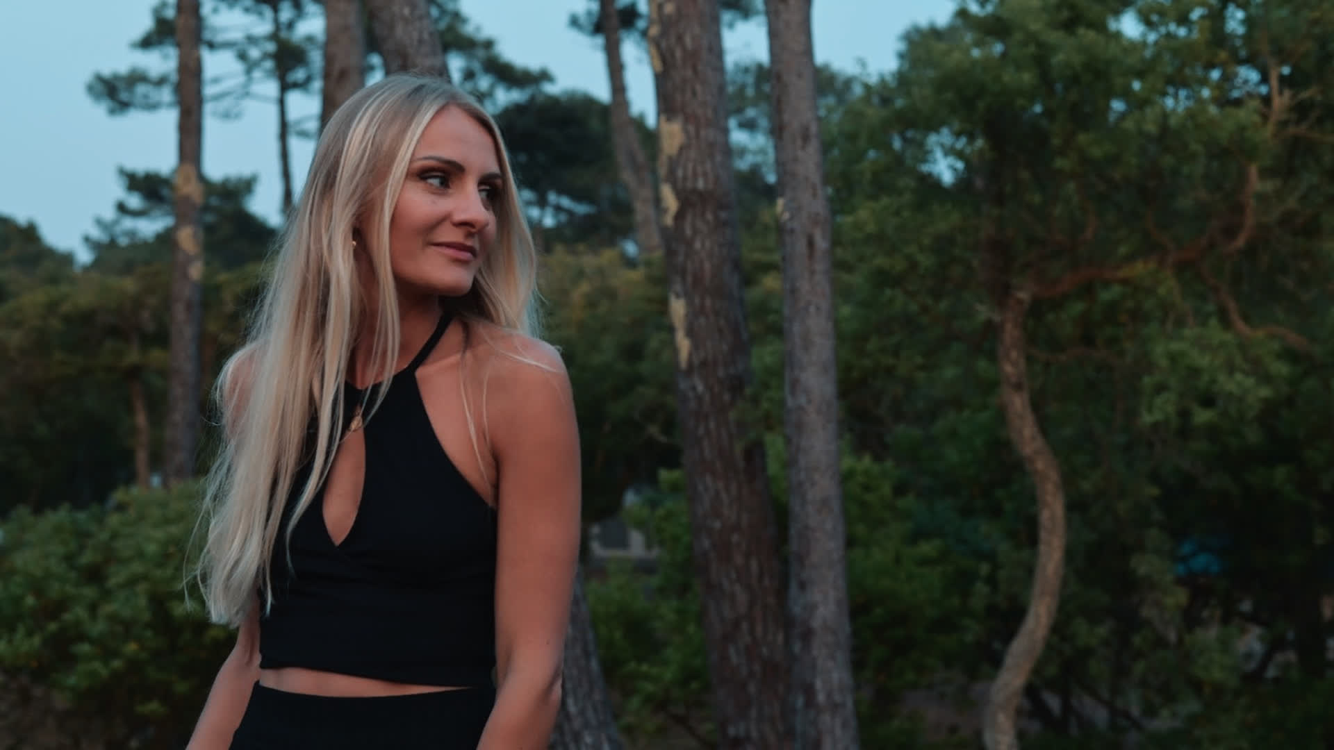 应用 LUT 后预览