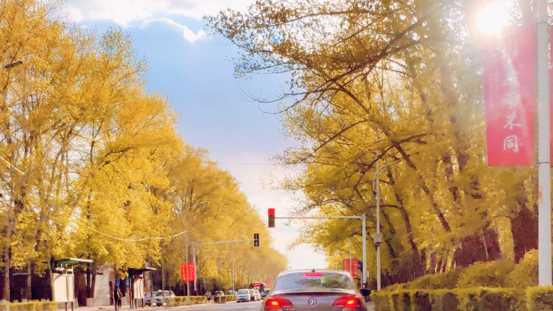 应用 LUT 后预览