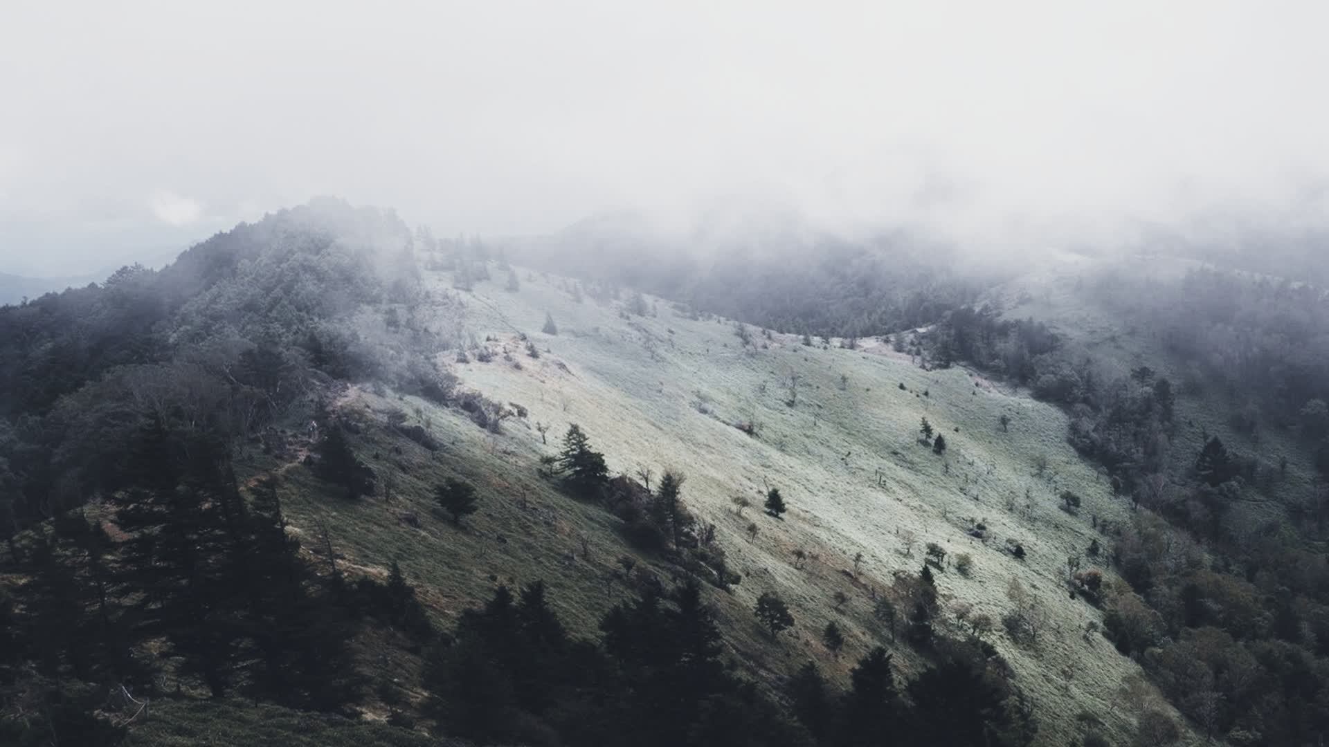 应用 LUT 后预览