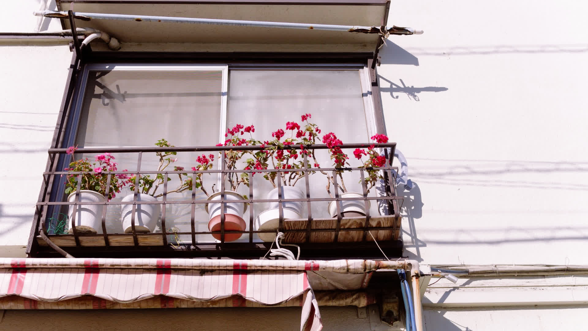 应用 LUT 后预览