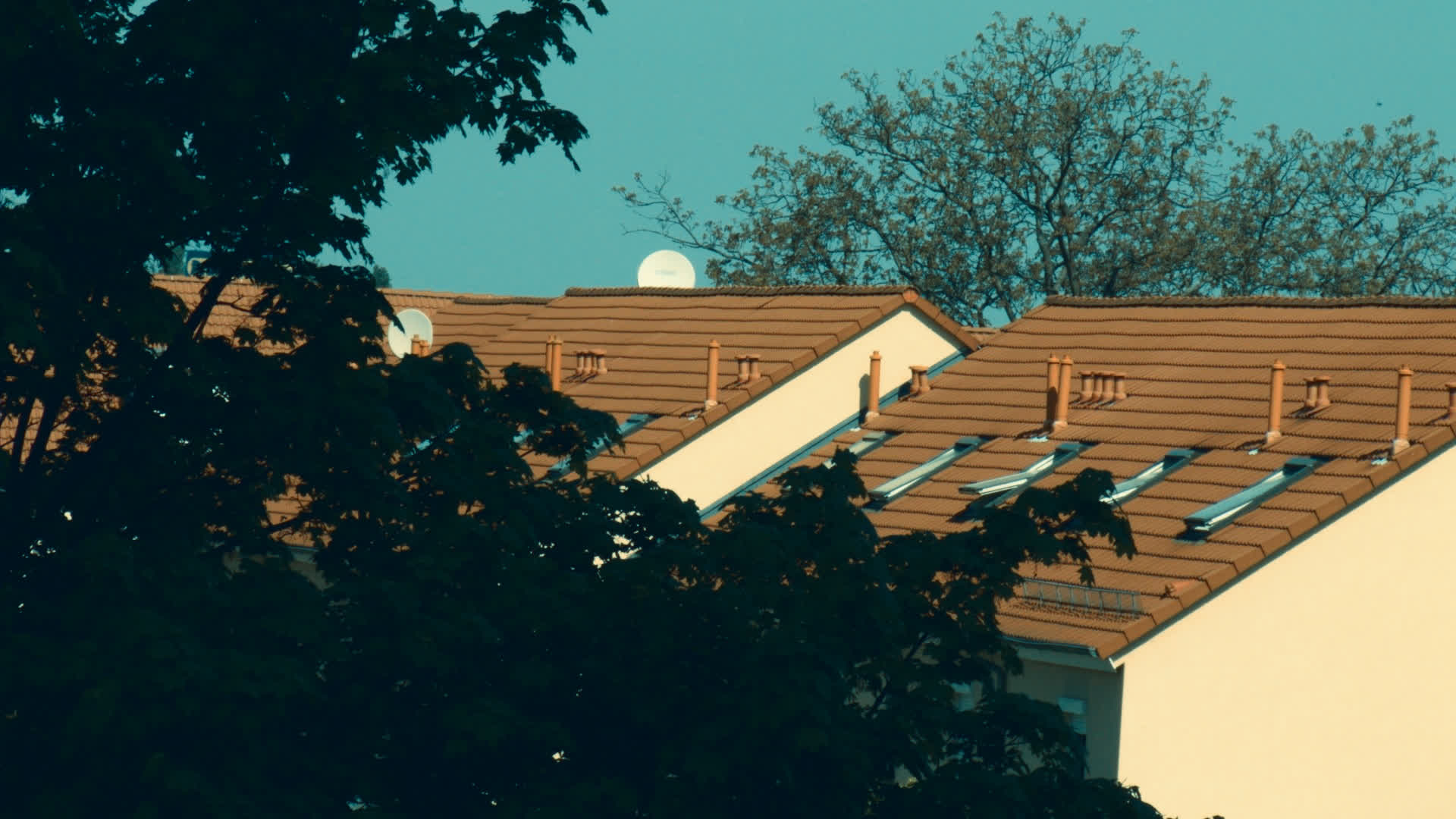 应用 LUT 后预览