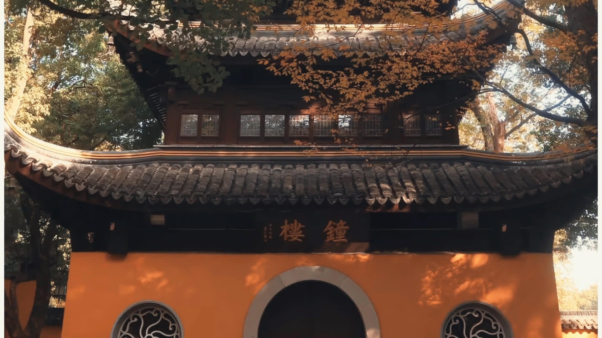 应用 LUT 后预览