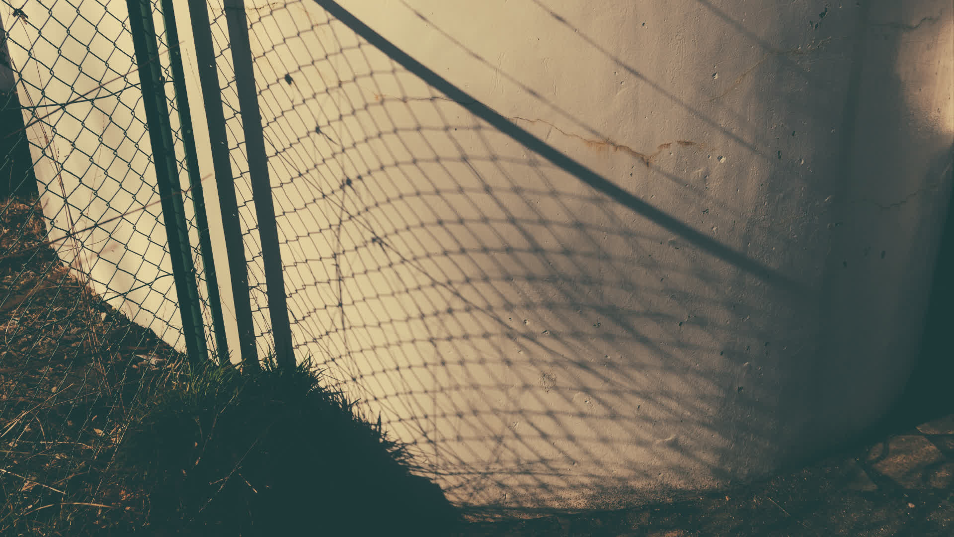 应用 LUT 后预览