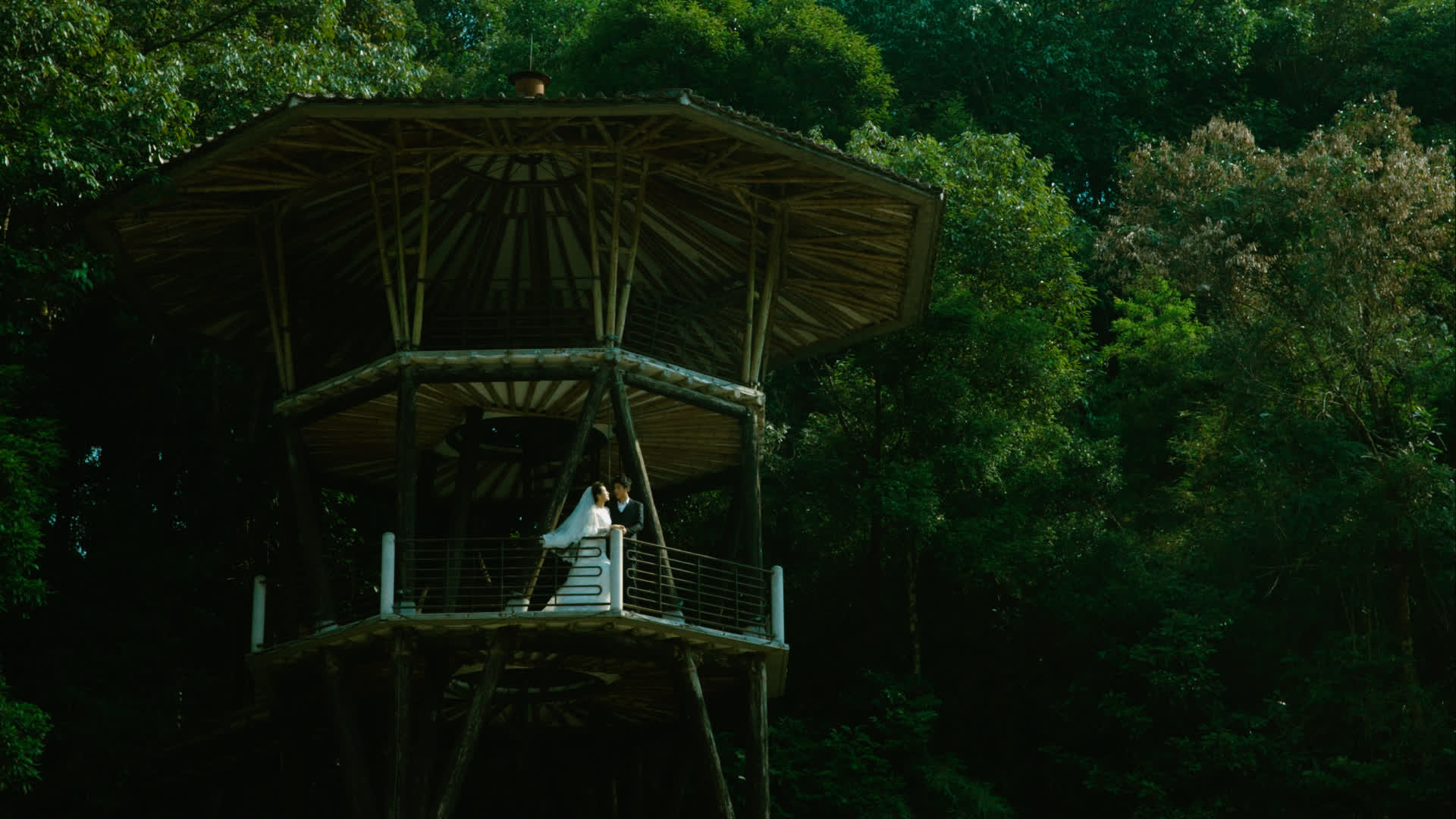 应用 LUT 后预览