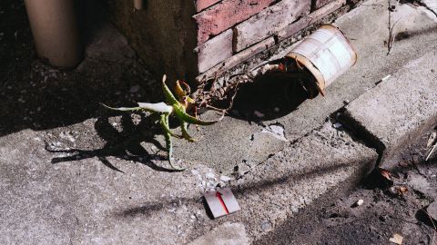 宝丽来Polaroid 690 312