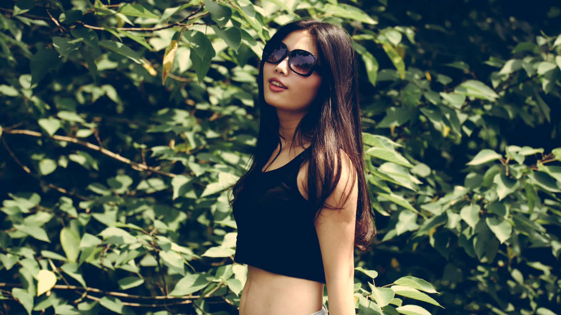 应用 LUT 后预览