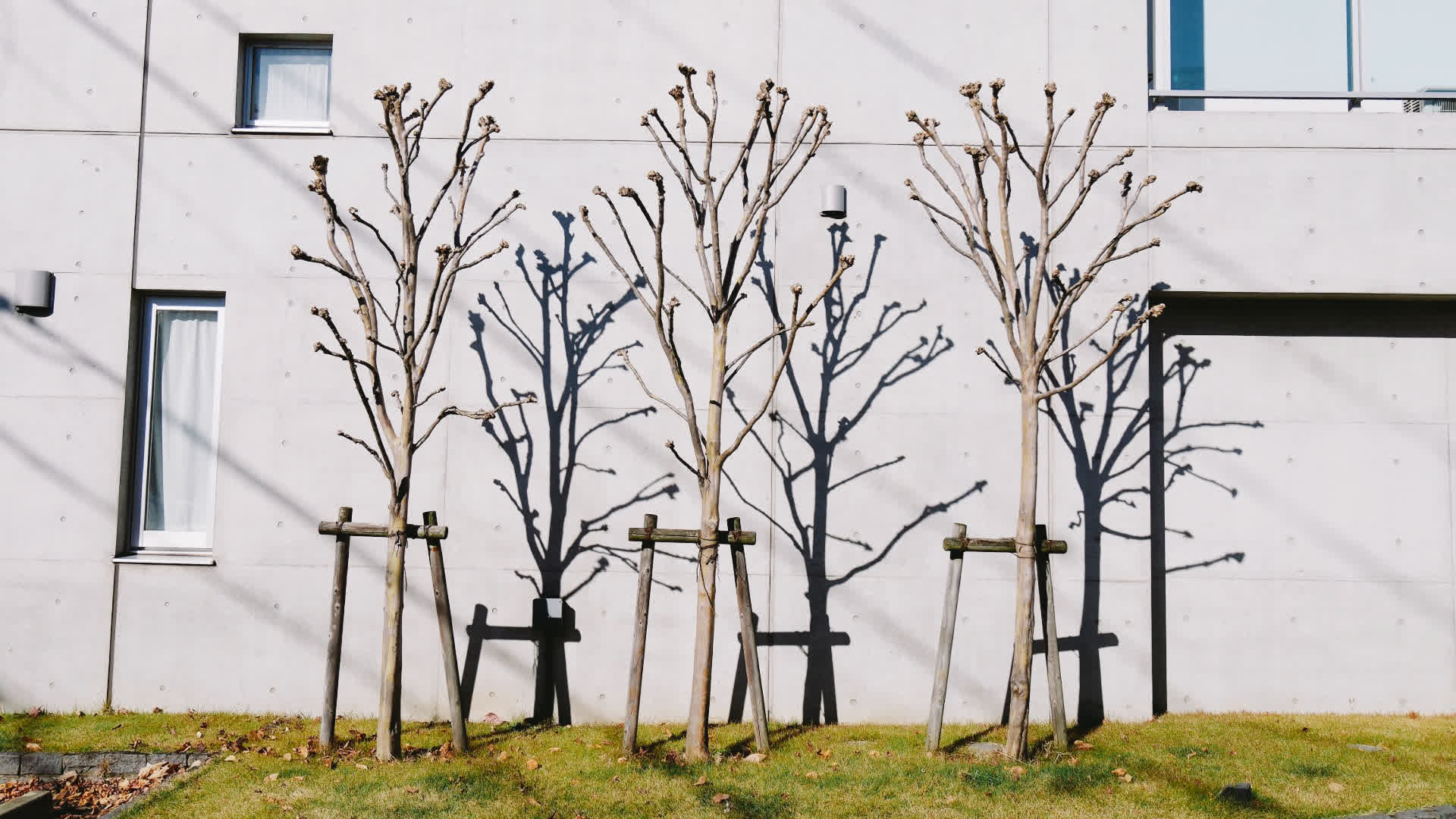 应用 LUT 后预览