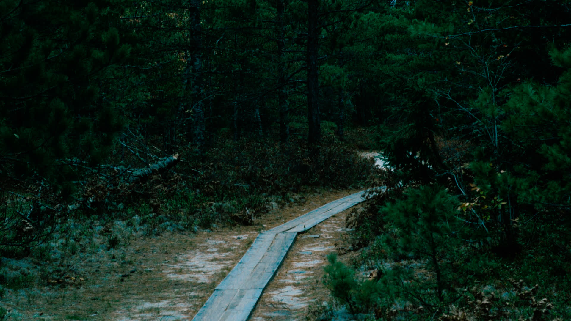 应用 LUT 后预览