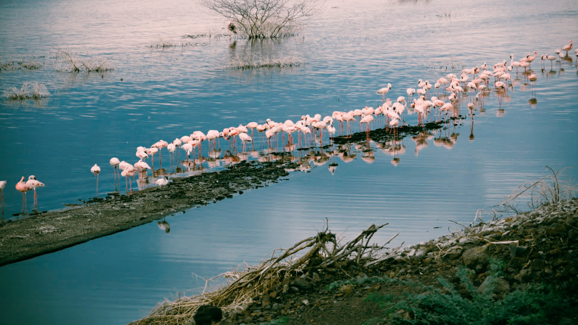 应用 LUT 后预览