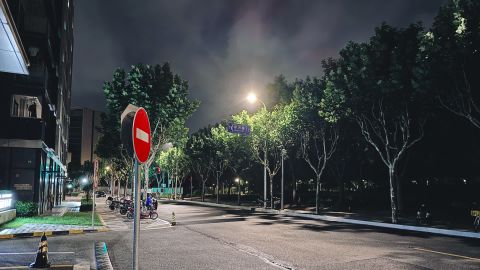 柔和逆光雾蓝自然对比